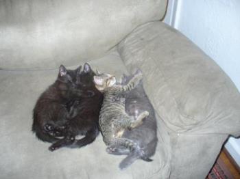 my little baby luvs - look how they used to sleep 