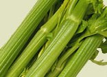 Healthy Food - Celery is one of those good foods