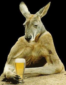 Australian Kangaroo - We can tell he is one of these true-blue Aussie kangaroos by the fact he is downing a beer! lol. Australian Kangaroo - We can tell he is one of these true-blue Aussie kangaroos by the fact he is downing a beer! lol.