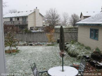 Minnesota snowfall - Falling snow in my back yard from November 8th.