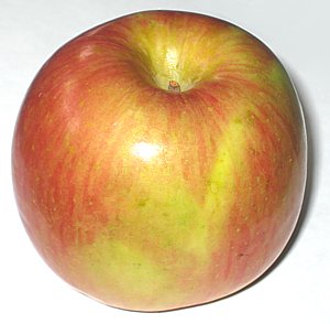 Fuji Apple - Is it considered red or yellow? Fuji Apple - Is it considered red or yellow?