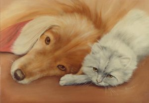 Cats and Dogs - They can be friends