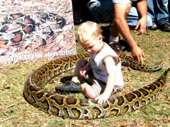 a young kid with a python - this is a picture of a young kid sitting int he garden with an actual python around him.