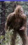 Big Foot - Are they real?