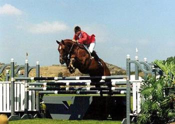 show jumping - show jumping is the most awesome sport i know