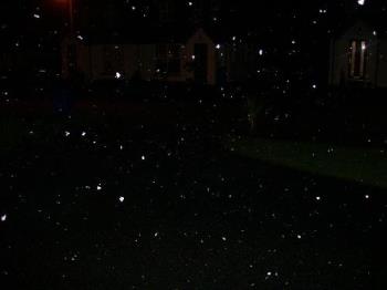 First snow flakes last night in Larne - First snow flakes in larne last night.