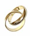 Wedding Rings - Two circles symbolizing neverending love are entwined forever.

