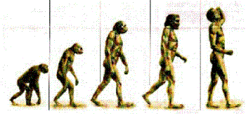 Evolution. - Each depiction between man an "monkey" is an evolutionary step towards the future. 