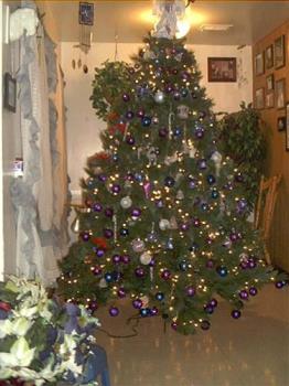 My Christmas Tree - One of the photo&#039;s of my Christmas tree