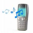 Nokia Tune - my ringtone...very classic lol!