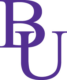 Bellevue University - They have online programs that are 1/3 the cost of Phoenix of Arizona.
