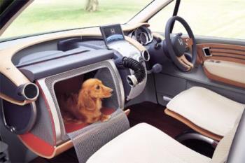 Pet Car from Honda - Dashboard and the cabin for the pet