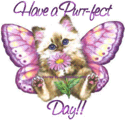 purfect day kitty butterfly - butterfly kitty says have a purfect day