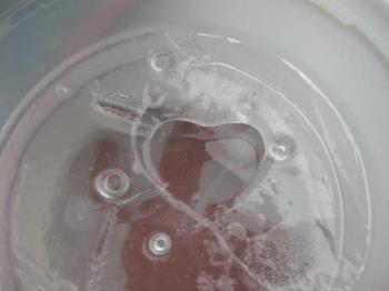 heart shape - frozen heart shape in dogs water bowl