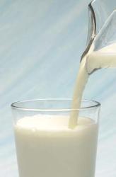 milk - White milk