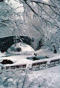 Central Park In The Winter - Image of Central Park in a snowstorm in April Central Park In The Winter - Image of Central Park in a snowstorm in April