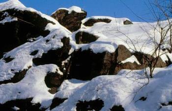 Another one of My Winter Photos - Another photo of mine at Central Park Another one of My Winter Photos - Another photo of mine at Central Park