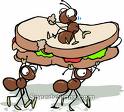 a bug in the sandwich - it is so bad to have a bug in the sandwich that makes one sick of it. 