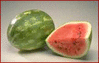 Watermelon - Whats the deal with watermelon?
