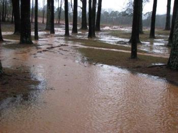 Run off water through our yard from excavation for - Muddy water running through our property caused by excavation of property for Bingo Hall