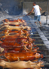 Lechon Pics. - respond to this discussion
its raining here and im craving for lechon?......
Zelmarq (3880)	7 hours ago

Yes, im craving for lechon. Why? I participated in one discussion and lechon came to mind and now im craving. Wow, I dont know if i could get some lechon but im sorry for myself coz it will only end for craving and I know i will not be able to eat some today or within this week. yay how pity. 