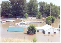 1993 flood - homes and business lost