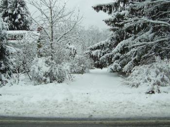 Picturesque winter view - That is my mother&#039;s house buried under all that snow as seen from my house across the road. 