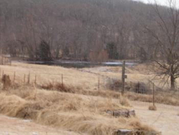 another snow pic. - This is one taken looking towards the pond, I tried to get one of the snow coming down but it may be hard to see. 