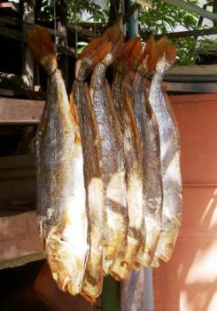 Salted Fish - The oriental preserved salted fish. It is a common delight amongst the Asians especially the Chinese where they will eat it with plain rice porridge or congee.