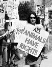 animal rights - animal should have their rights