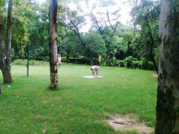 Park - People doing yoga in the park.