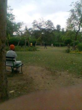 Morning exercise - People doing morning breathing exercise and playing in the park. I go this this park every morning. 