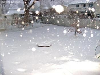 Minnesotan Snowfall - Taken late December.