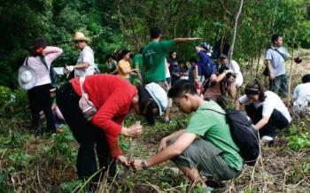 environmental activities - tree planting and clean-up activities