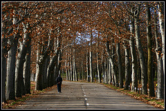 walking medicine - regularly having walking medicine to increase our blood circulation.