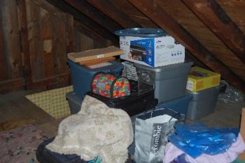 moving - well the attic is done lol