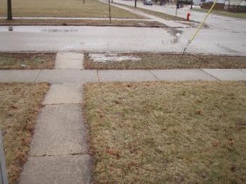 snow,rain,mess - my front yard