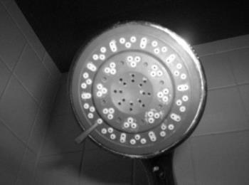 showerhead - showerhead, balck and white
