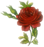 here is clip art of deep red roses as a valentine&#039; - here is clip art of deep red roses as a valentine&#039;s day gift for a friend..