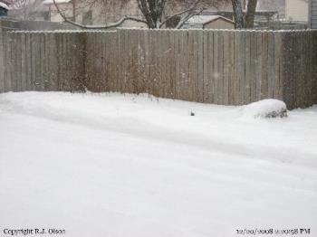 Snow and fencing - Part of my fenced yard area taken in December.