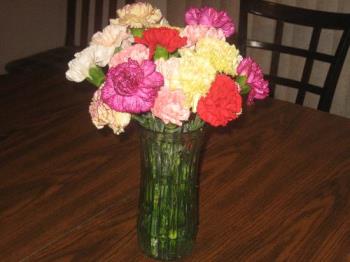Carnations - These are the flowers I got for Valentines Day this year. Carnations - These are the flowers I got for Valentines Day this year.