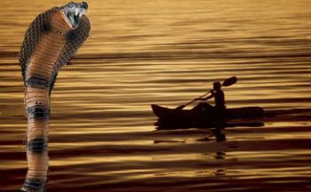 My "Own" Snake Monster Photo - image of a composite photo showing a gigantic Cobra rising from the sea