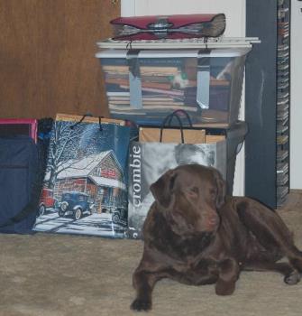 mommy is goin somewhere - she was my best buddy for 4 years