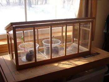 Mini Greenhouse - Made of wood and acrylic with a wire bottom. Someone is pretty crafty to come up with this.