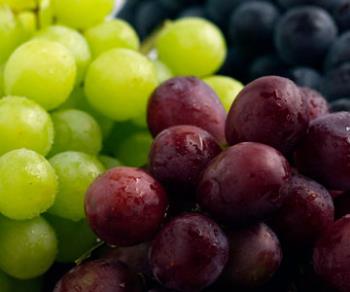 Grapes - Delicious Grapes