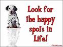 look for the happy spots in life - You know you are young and everything nice is waiting to reach you. Cheer up, and look for the happy spots in life, friend. look for the happy spots in life - You know you are young and everything nice is waiting to reach you. Cheer up, and look for the happy spots in life, friend.