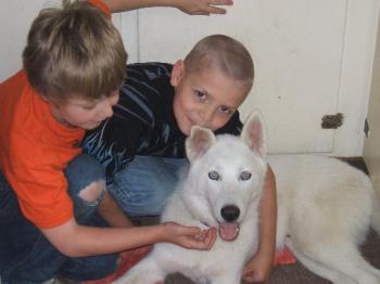 my two boys and their dog - Frost my dog