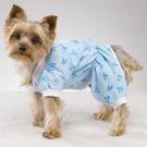 pajamas - an adorable dog wears pajamas