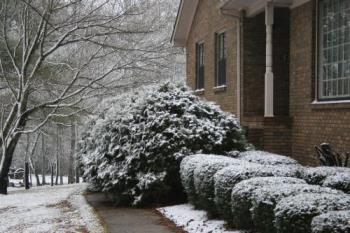 Snow on March 1, 2009 - This picture is taken from the sidewalk in the front yard. 