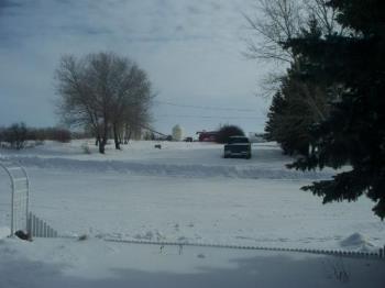 Want Some Snow? - You can barely see the tips of my picket fence, the snow is so deep in my front yard! 